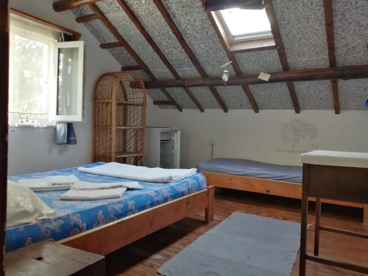 Ecer Pansiyon Kusadası Exteriör bild