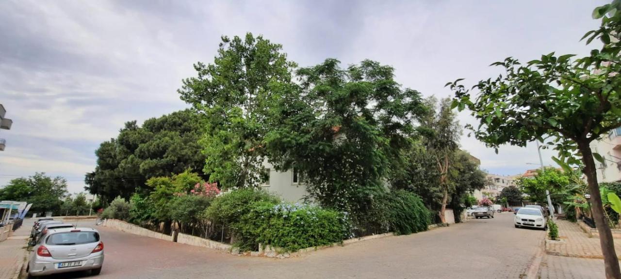 Ecer Pansiyon Kusadası Exteriör bild