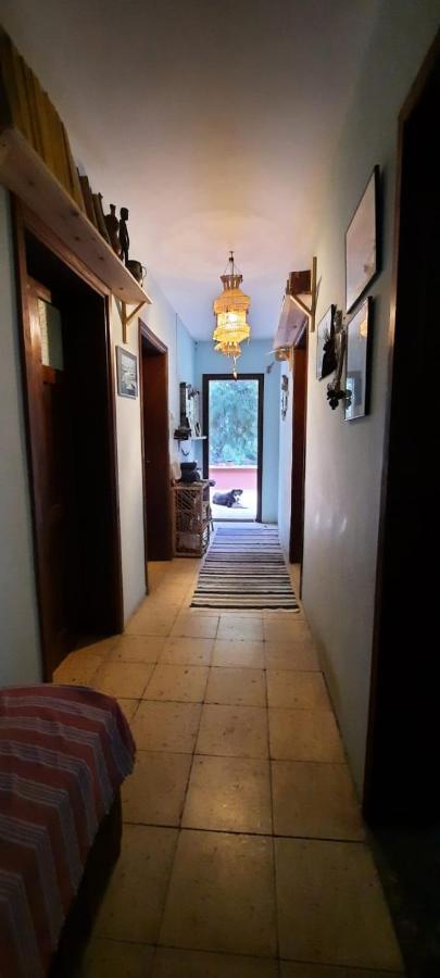 Ecer Pansiyon Kusadası Exteriör bild