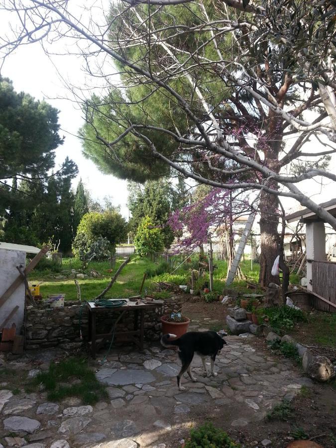 Ecer Pansiyon Kusadası Exteriör bild