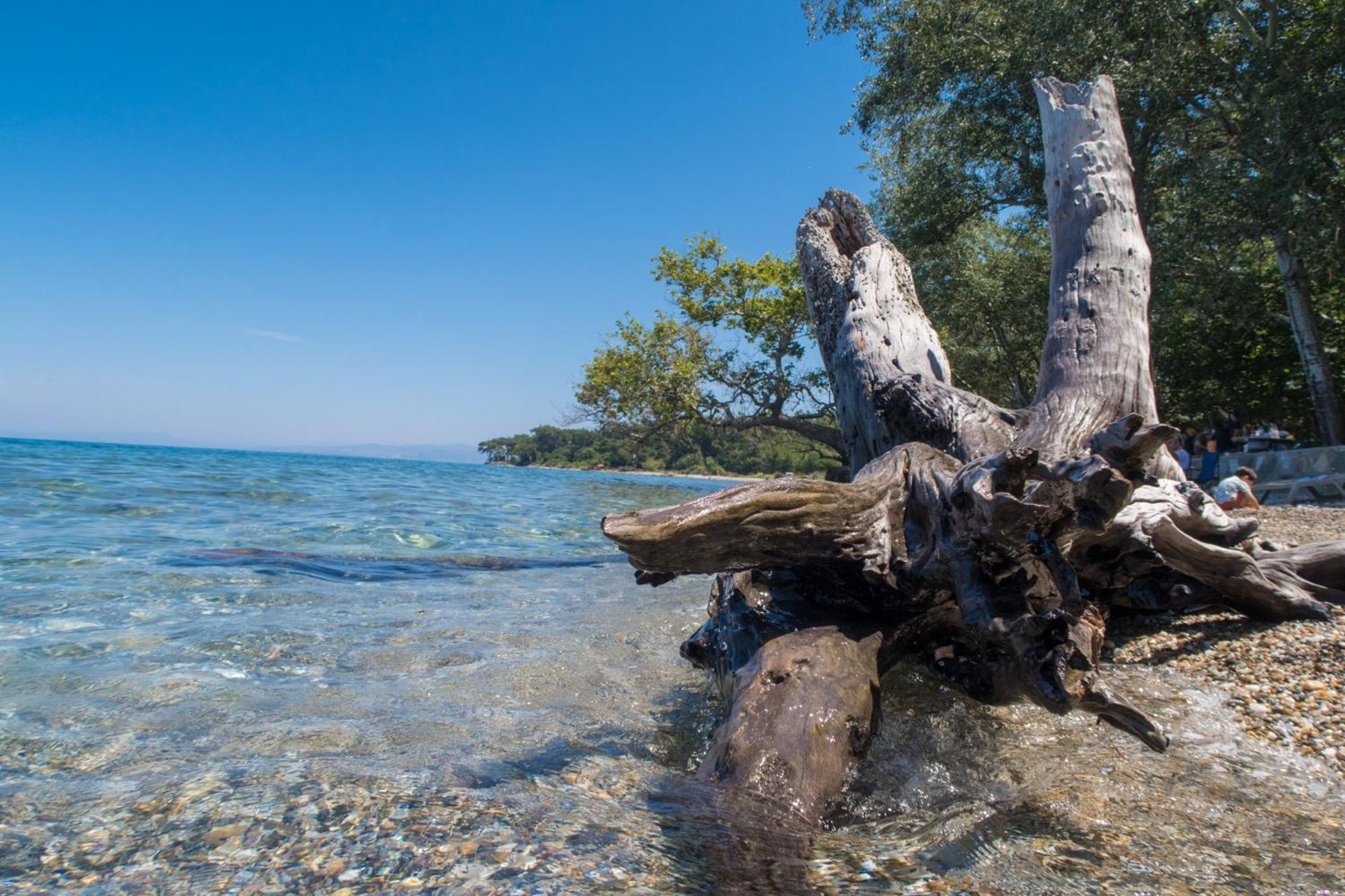 Ecer Pansiyon Kusadası Exteriör bild